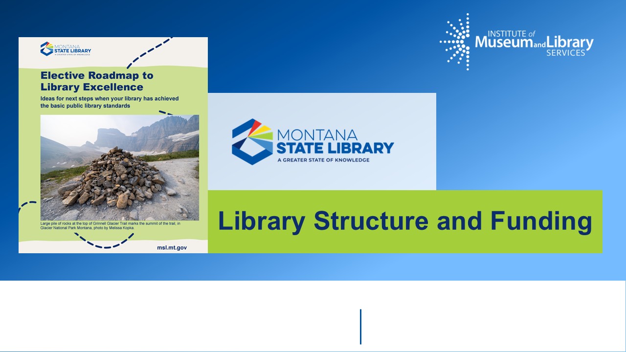 Title slide for library structure and funding webinar
